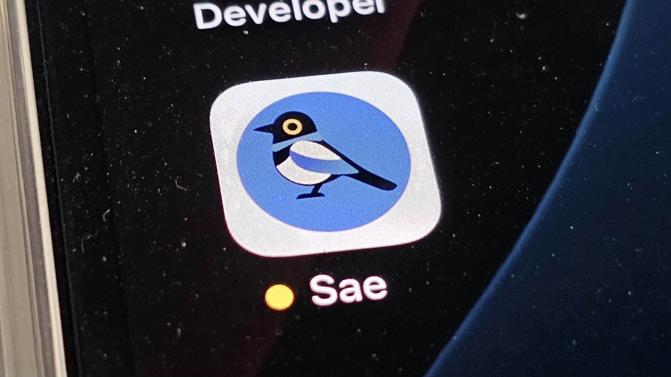 SAE IN PROGRESS · NOW